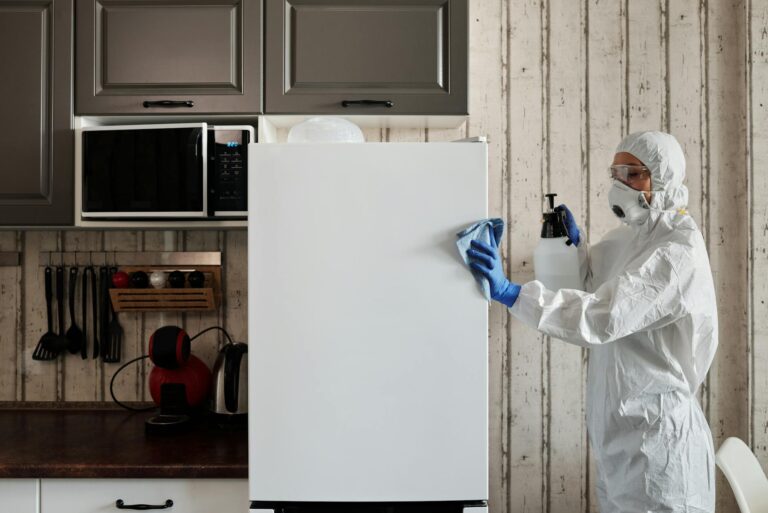 photo of person disinfecting the kitchen